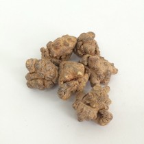 田七 (60頭) 原色 (每兩)